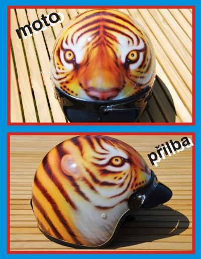 Přilba TIGER